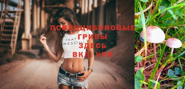 mdpv Михайловск