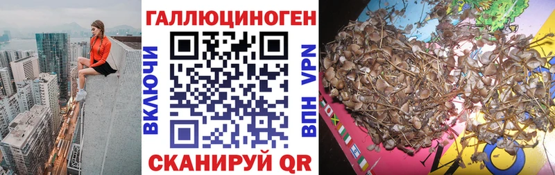 Галлюциногенные грибы мухоморы  мориарти Telegram  Назрань 