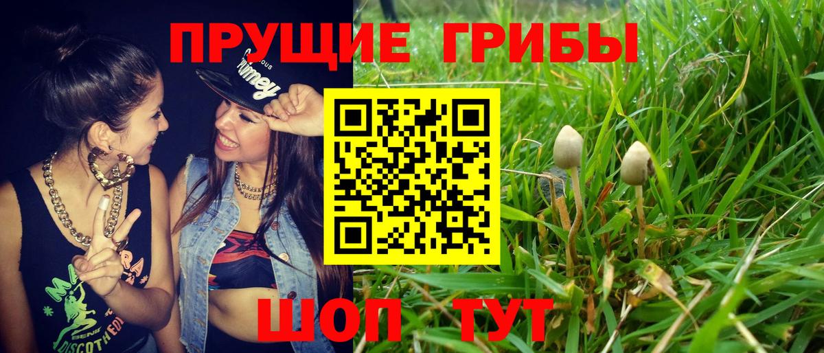 Назрань  что такое   Вход с VPN  Псилоцибиновые грибы мухоморы 