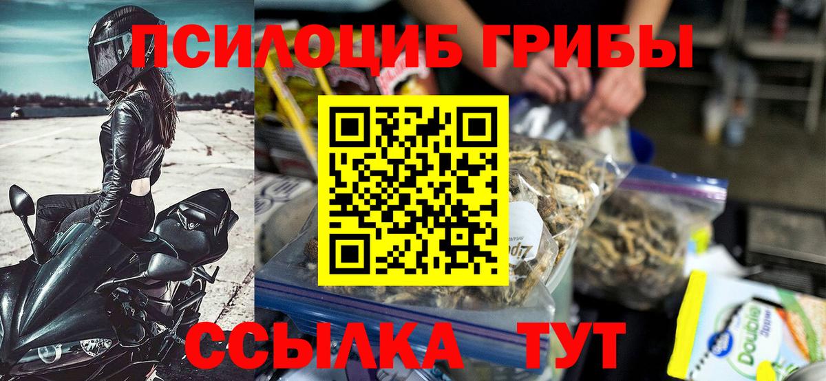 Псилоцибиновые грибы Psilocybe Назрань